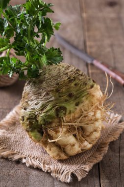 Textured celeriac root with stems on burlap cloth on wooden rustic background clipart