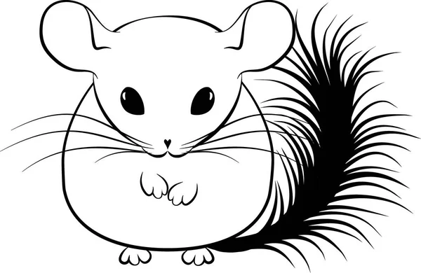 Illustration de chinchilla stylisé line art — Image vectorielle