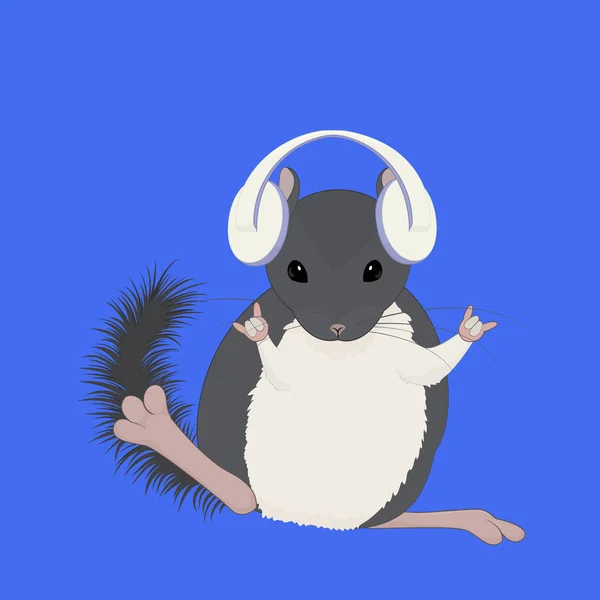 Chinchilla gris écouter de la musique avec écouteurs blancs — Image vectorielle