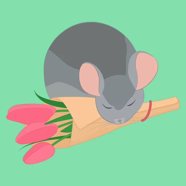 Chinchilla endormi gris et bouqet de fleurs roses — Image vectorielle