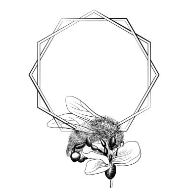 Fotokopi alanı olan çiçekli arı çerçevesi. Metin dekorasyonu için iç içe geçmiş altıgenler