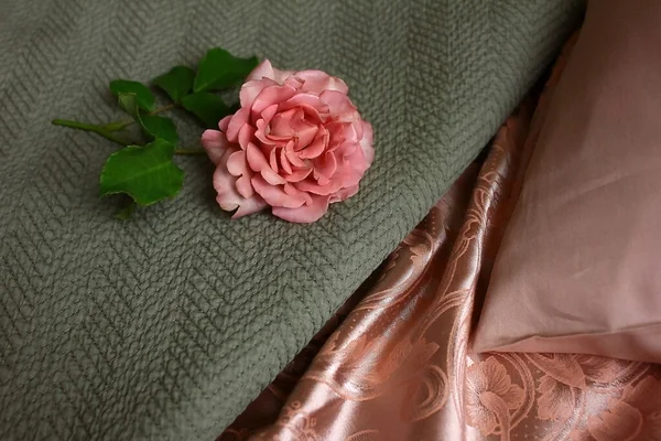 먼지가 분홍빛 녹색면 턱수염 베갯잇 침대에 침실의 내부와 — 스톡 사진