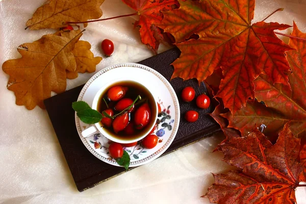 Cup Tea Rose Hips Crimson Maple Leaves Book Drink Mug — Stock Photo, Image