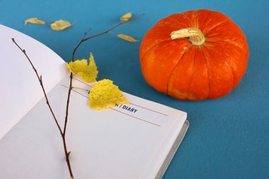 Günlük ve balkabağı. Sonbahar için planlar.