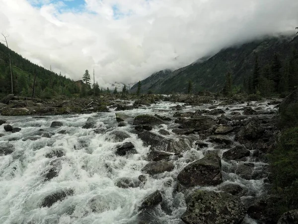 Altai dağlarındaki hızlı nehir. — Stok fotoğraf