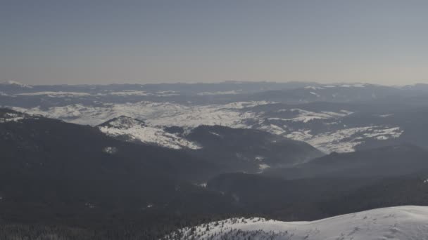 Vista Generale Delle Montagne Dei Carpazi — Video Stock