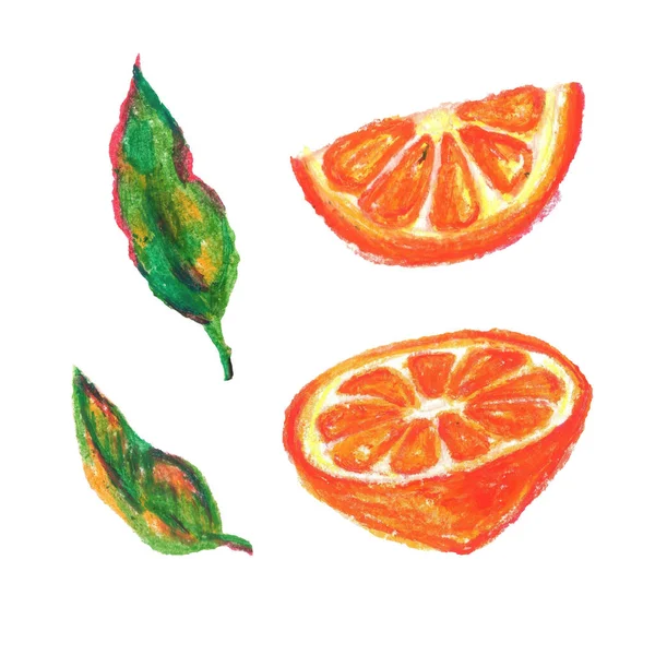 Elementy Pomarańczy Owocowych Kawałku Liści Rysowane Pastelami Olejowymi Projektowania Dekoracji — Zdjęcie stockowe