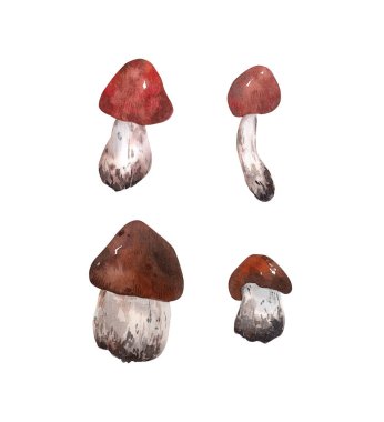 Şirin orman elementleri farklı mantarlar kırmızı şapkalı, farklı şekillerde ve boyutlarda. Tüm unsurlar dekorasyon ve tasarım için elle çizilmiştir..