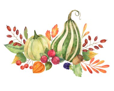 Yüksek çözünürlükte suluboya balkabakları, dut dalları, renkli yapraklar, böğürtlen, meşe palamudu ve bitki salatası içeren sonbahar kompozisyonu. Kartlar, çıkartmalar, davetiyeler için tasarım