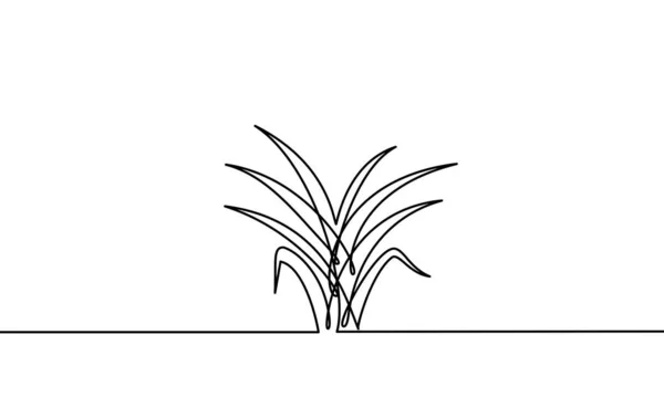 花植物连续画线 可以用于植物 黑白矢量图解 — 图库矢量图片