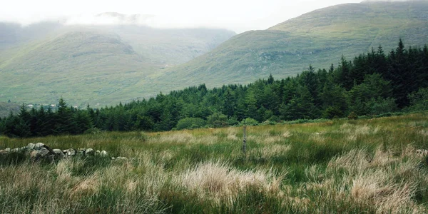 ケリー山と郡 Kerry ビンテージ効果の周辺地域の風光明媚なビュー リング ケリー レトロ写真に沿って風景します アイルランド Web ページのスライダーのワイド写真 — ストック写真