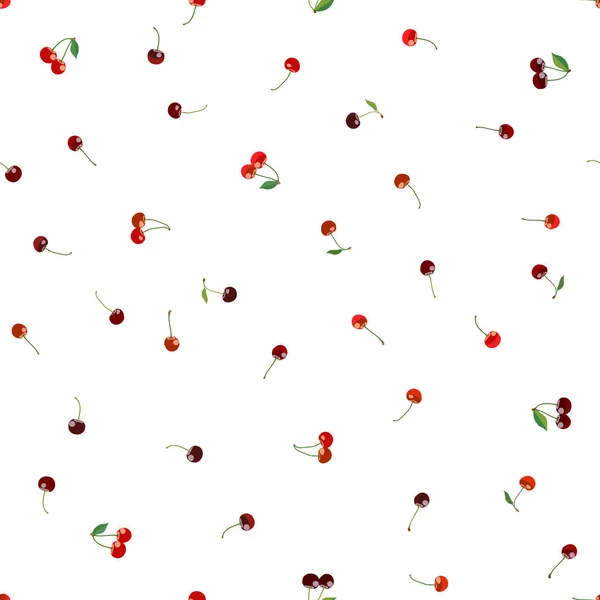 Ripe Purple Cherries Seamless Pattern Cherry Harvest Colorful Fruit Texture — Stock Vector