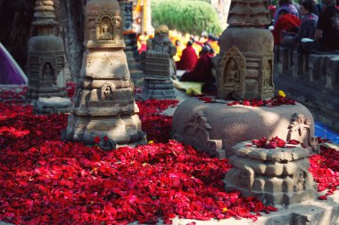 Hürmet göstermek için kırmızı gül yaprakları bir hac yeri için uygun. Çok sayıda küçük gül yaprakları saygı Mahabodhi Tapınağı'nda sunan için. Bodh Gaya, Hindistan.