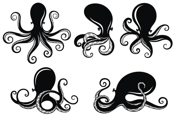 Vorlage Für Logos Etiketten Und Embleme Von Kraken Sammlung Von — Stockvektor