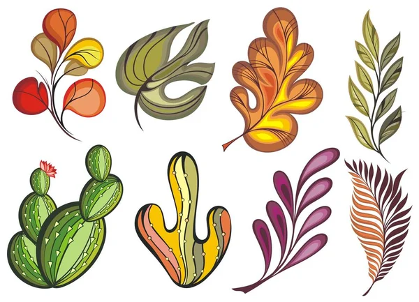 Güzel Renkli Sonbahar Yaprakları Koleksiyonu — Stok Vektör