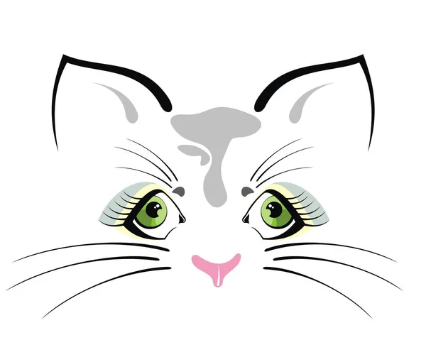 Söta Kattens Ansikte Vit Bakgrund — Stock vektor