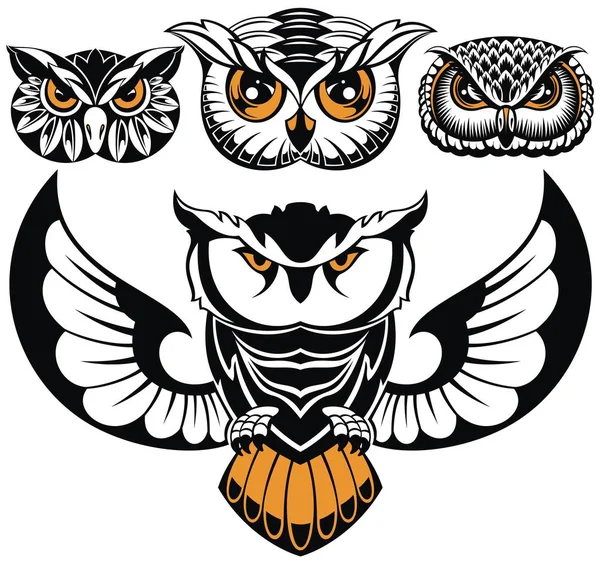 Σετ Logo Κουκουβάγια Έμβλημα Σχέδια — Διανυσματικό Αρχείο