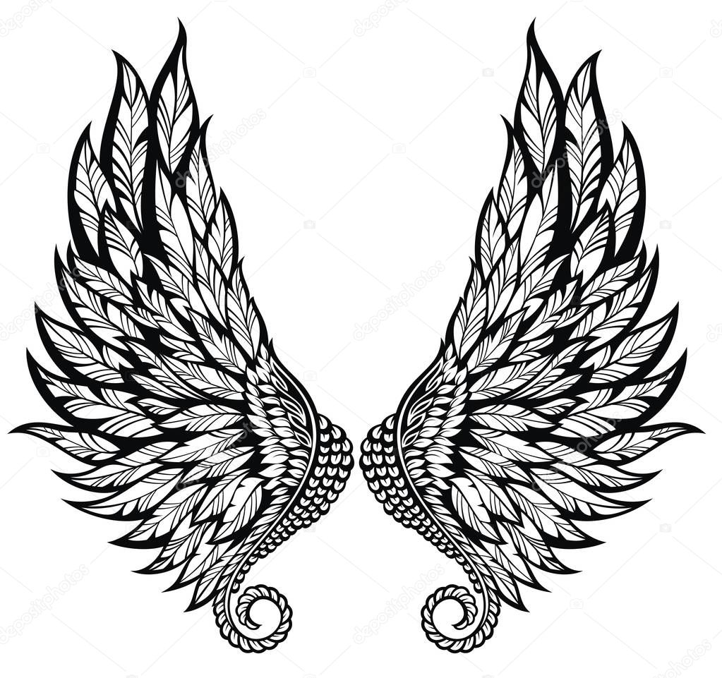 Pair of  angel wings on white