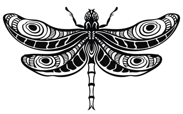 Dragonfly Voor Ontwerp — Stockvector