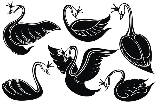 Cisnes Voando Descansando Cisnes Pássaro Com Uma Coroa — Vetor de Stock