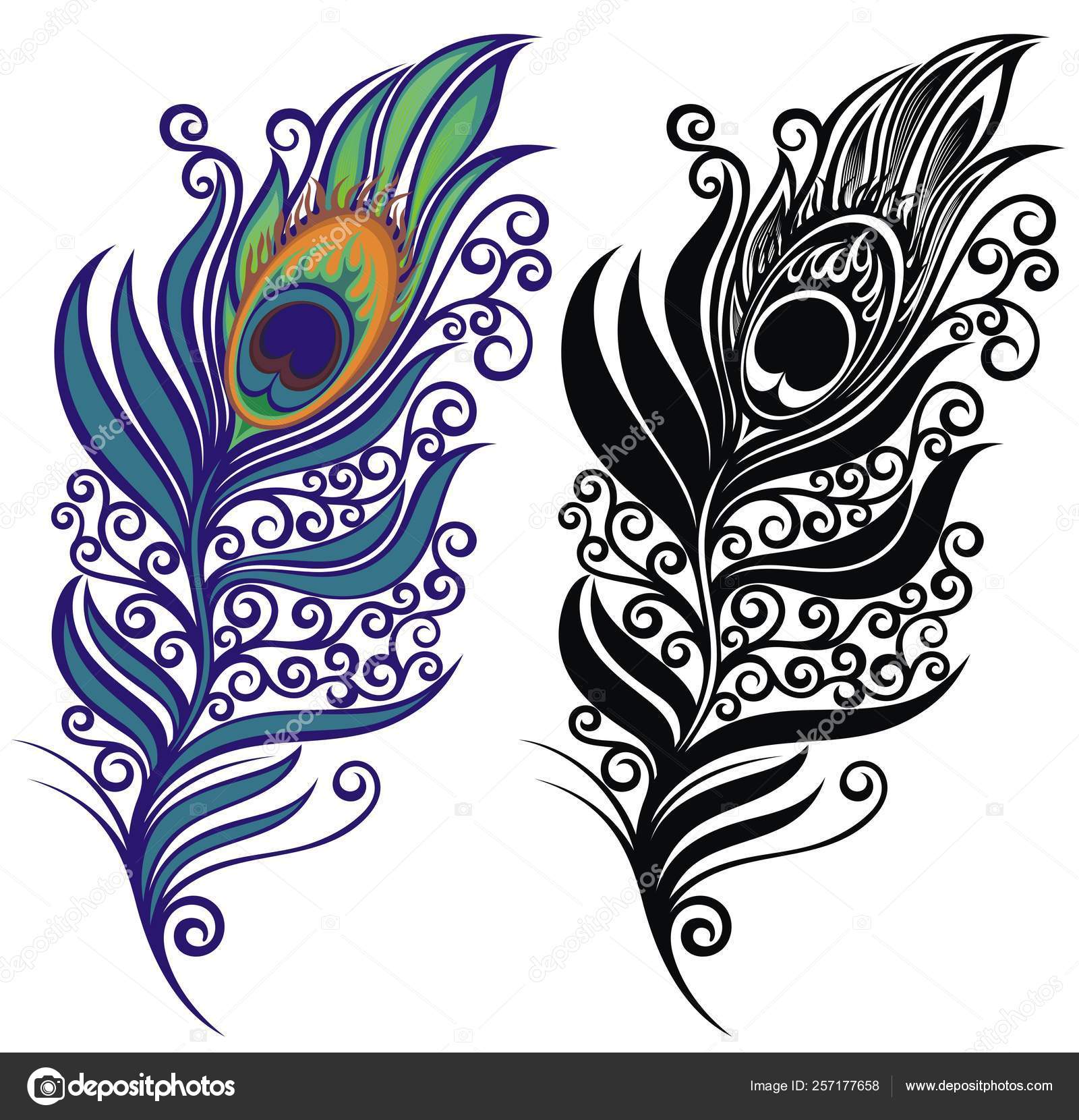 Ilustración Estilizada De Plumas De Pavo Real. Imagen Para Diseño O  Decoración. Ilustración del Vector - Ilustración de belleza, mano: 230759477