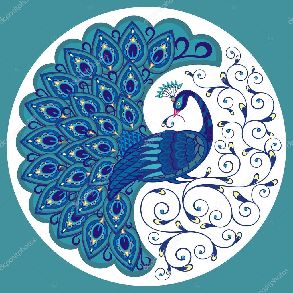 Peacock drawing fantasy bird