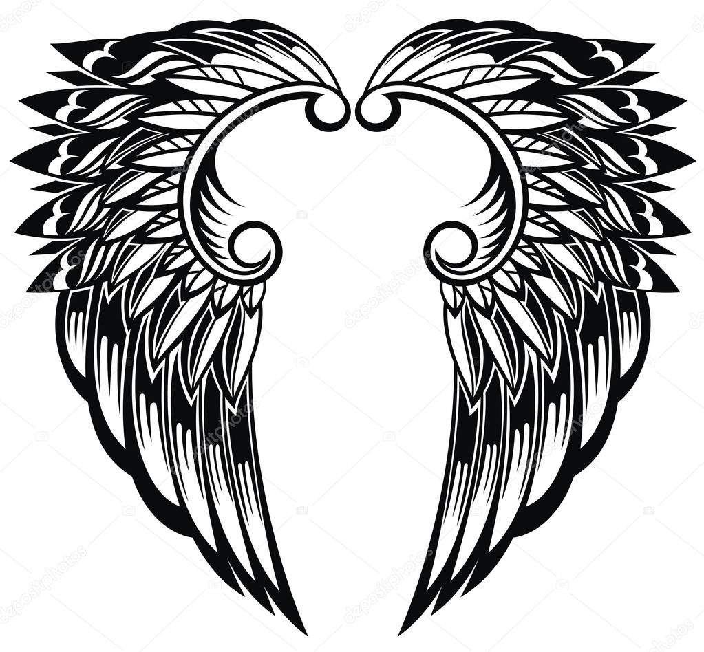 Angel wings isolated on white background 