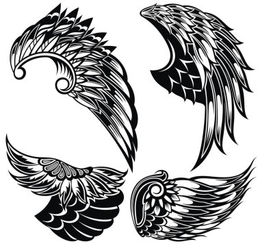 Vektör kanatları kümesi. Vektör kanat şekilleri. Kanat simgeleri.