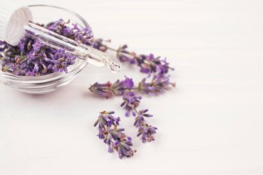 Etrafında lavanta yağı ve lavanta çiçekleri olan bir damlacık. Beyaz arka planda, kopyalanmış. Aromaterapi ve ev spa konsepti