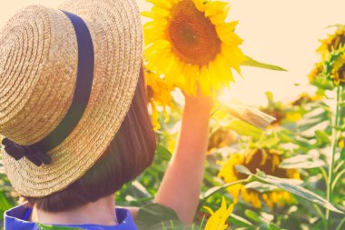 Hasır şapkalı kız, ayçiçeği tarlasına karşı güzel bir ayçiçeği tutuyor. Tarım ve hasat kavramı. Hafta sonu aktiviteleri ve fotoğrafçılık ilhamı. Moda fotoğrafı.