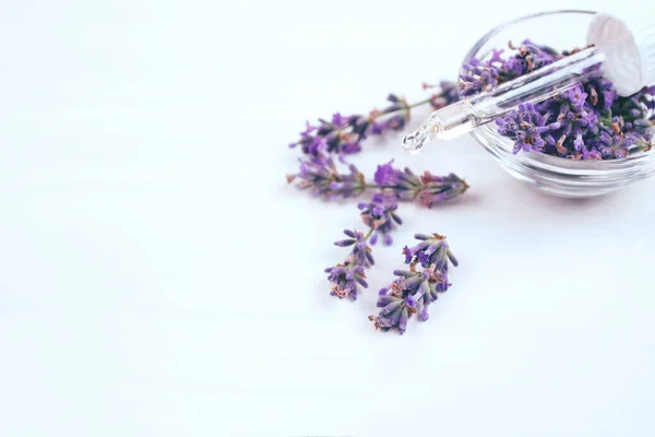 Contagocce Con Olio Essenziale Lavanda Fiori Lavanda Intorno Esso Sfondo — Foto Stock