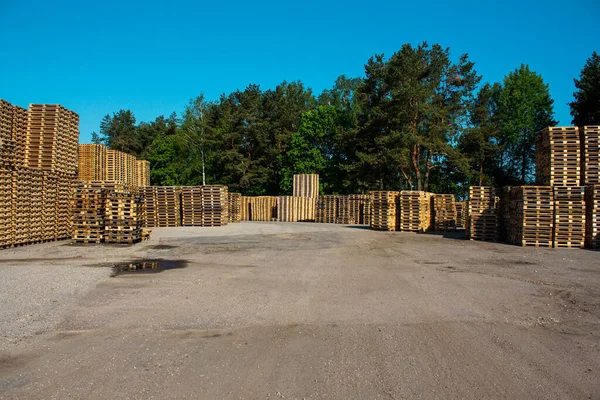 Groot magazijn van houten pallets voor goederenverkeer. — Stockfoto