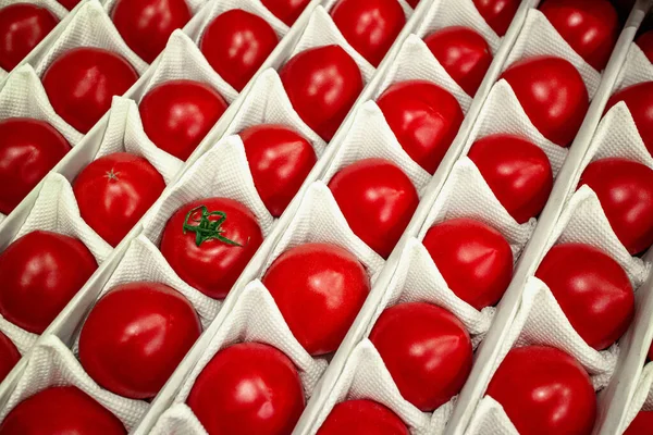 Belos Tomates Maduros Numa Caixa Branca Verduras Vermelhas Verão Comida — Fotografia de Stock