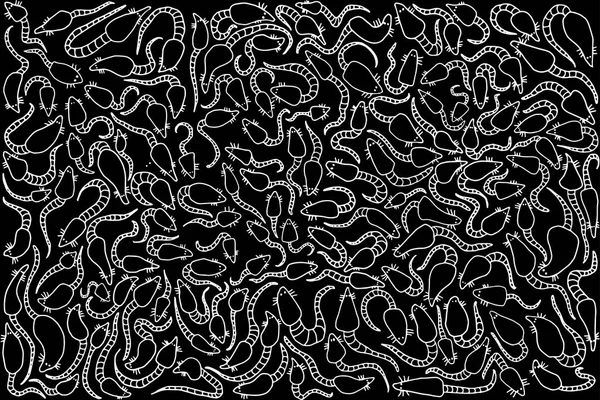 Pattern of numerous rats on a black background — Stock Vector