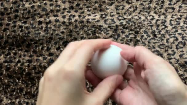 Partir Œufs Blancs Versé Bonbons Colorés Sur Fond Léopard — Video