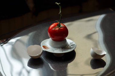 parlak kırmızı domates dal üzerinden koyu arka plan üzerinde yumurta yumurtadan