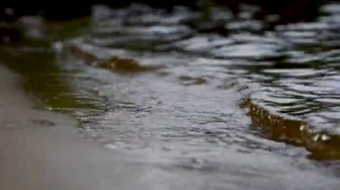 kumlu Sahili sakin dalgalar köpükle yıkamak