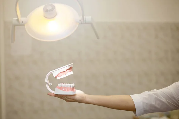 Μια υποδοχή στο γραφείο του οδοντιάτρου, ο γιατρός δείχνει τη σιαγόνα — Φωτογραφία Αρχείου