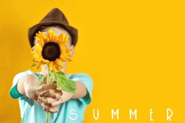 Um menino de verão em uma camiseta leve com um girassol amarelo cobre seu rosto — Fotografia de Stock