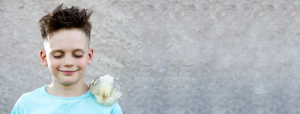 Boy in a blue t-shirt with a fluffy chicken closed his eyes and dream on a blurred background. — Stock Photo, Image