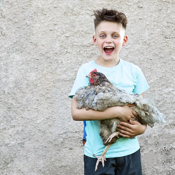 Un ragazzo felice in t-shirt blu che tiene pollo e ride su sfondo sfocato — Foto Stock