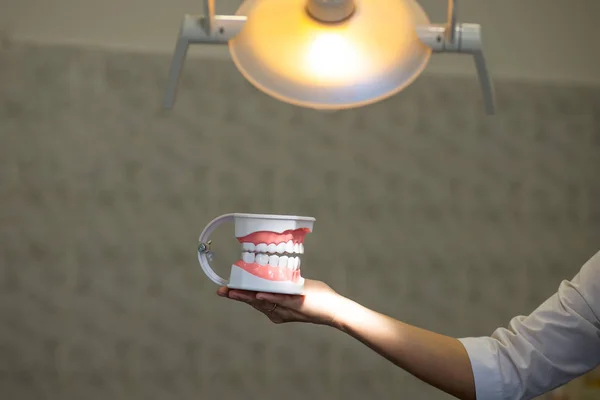 Μια υποδοχή στο γραφείο του οδοντιάτρου, ο γιατρός δείχνει τη σιαγόνα — Φωτογραφία Αρχείου