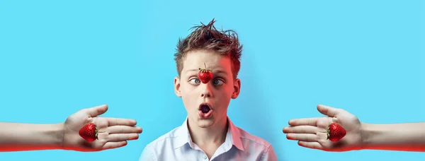 Ragazzo sorpreso con una fragola che cade straboccò gli occhi al naso su uno sfondo blu. anche in due mani, su una bacca succosa — Foto Stock