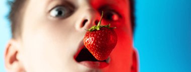 Mavi bir arka plan üzerinde kırmızı çilek ısırma bir çocuk