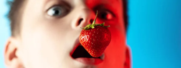 En dreng bider røde jordbær på en blå baggrund - Stock-foto