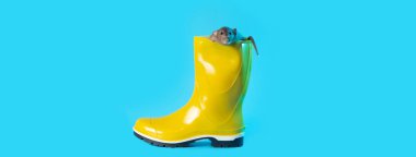 mavi arka planda parlak sarı kauçuk çizme dekoratif sıçan. Gelecek sonbahar ve Rat yıl sembolize