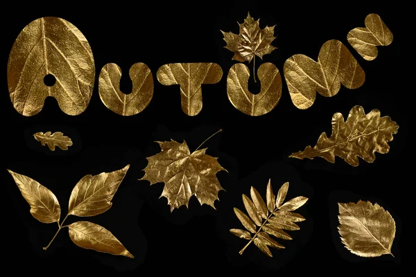 Herfst samenstelling van verschillende gouden bladeren en letters op zwarte achtergrond — Stockfoto