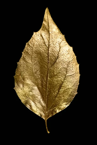 黒い背景に異なる黄金の葉と文字の秋の構成 — ストック写真