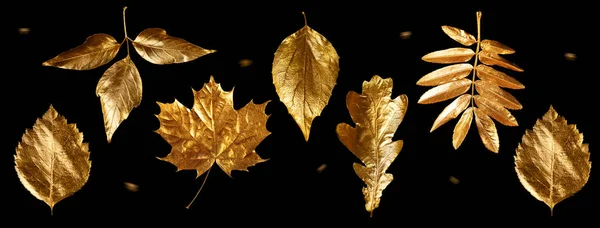 Efteråret sammensætning af forskellige gyldne blade og bogstaver på sort baggrund - Stock-foto