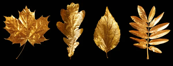 Herfst samenstelling van verschillende gouden bladeren en letters op zwarte achtergrond — Stockfoto